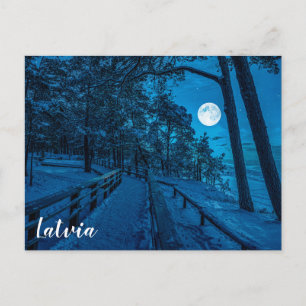 Carte Postale Paysage d'hiver avec pinède enneigée