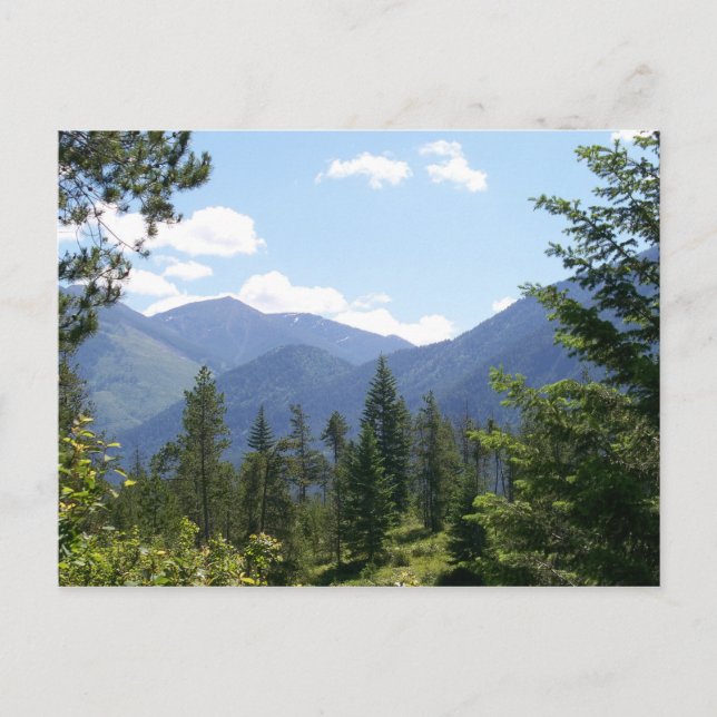 Carte Postale Paysage du Montana (Devant)