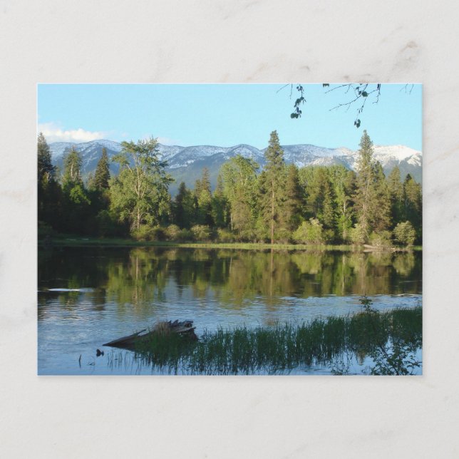 Carte Postale Paysage du Montana (Devant)