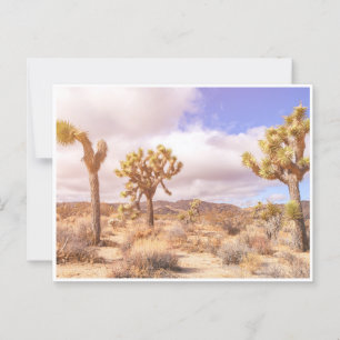 Carte Postale Paysage du parc national de Joshua Trees en Califo