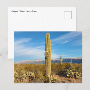 Carte Postale Paysage du parc national du Saguaro
