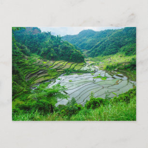 Carte Postale Paysage en terrasse sur le riz, Philippines