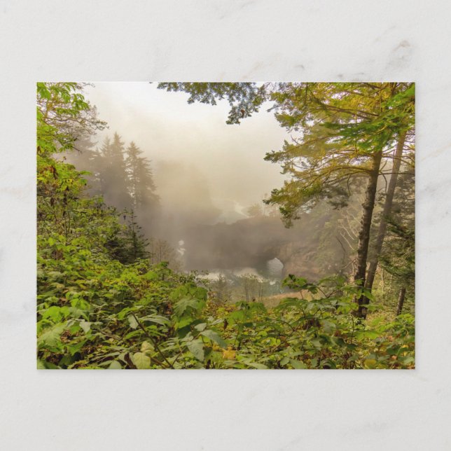 Carte Postale Paysage forestier et océanique (Devant)