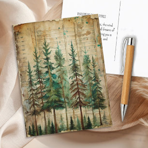 Carte Postale Paysage forestier vintage aux pins verts éternels