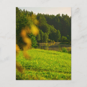 Carte Postale Paysage Naturel Lac Scénérie Canal Arbres
