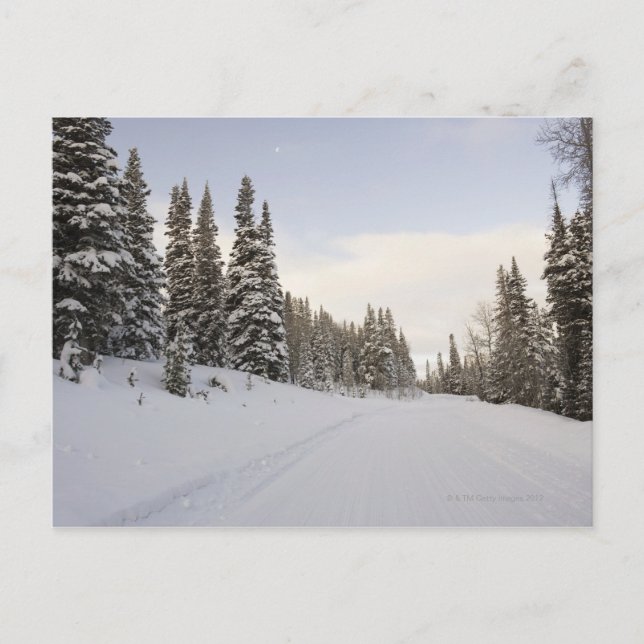 Carte Postale paysage Neige-couvert (Devant)