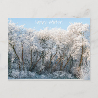 Carte Postale Paysage neigeux Photo hiver