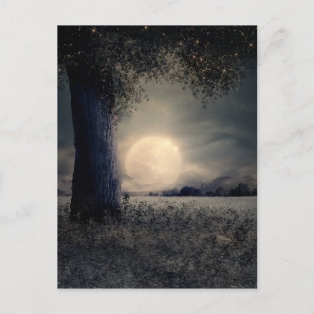 Carte Postale Paysage nocturne (Devant)