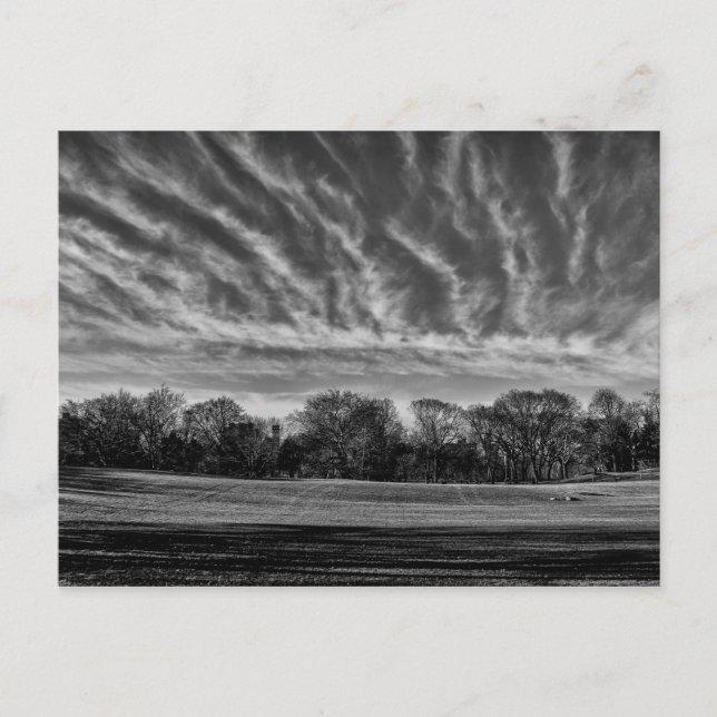 Carte Postale Paysage noir et blanc Central Park Photo (Devant)