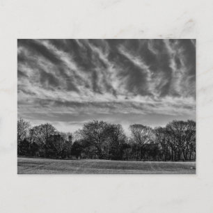 Carte Postale Paysage noir et blanc Photo de Central Park