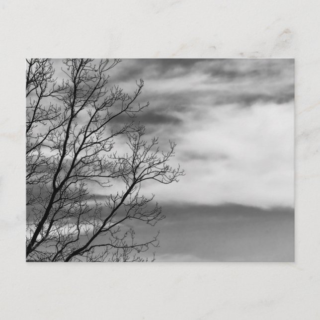Carte Postale Paysage noir et blanc Photo nature (Devant)