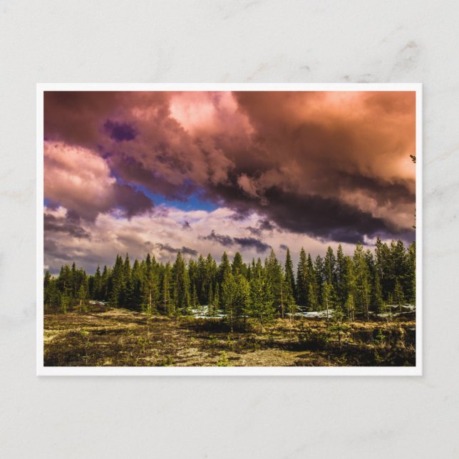 Carte Postale Paysage nordique spectaculaire (Devant)