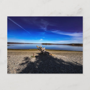 Carte Postale Paysage paisible avec bois flotté ciel bleu