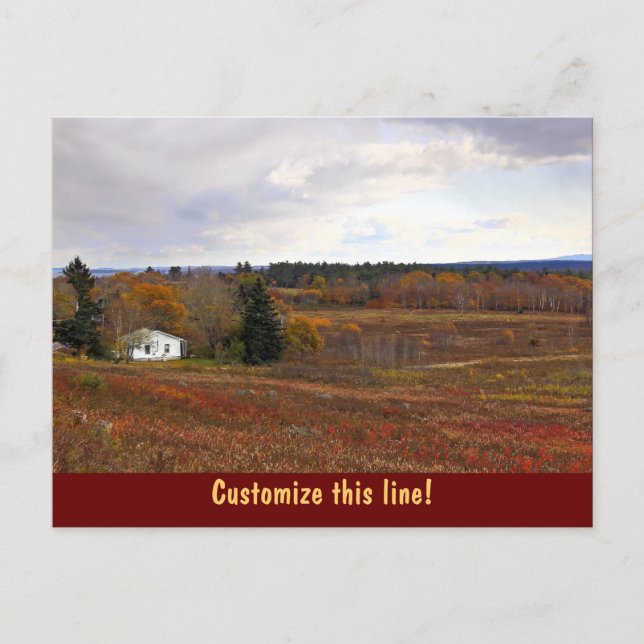 Carte Postale Paysage rural (Devant)