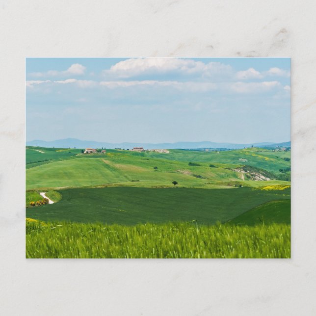Carte Postale Paysage typique de Toscane avec collines - Italie (Devant)