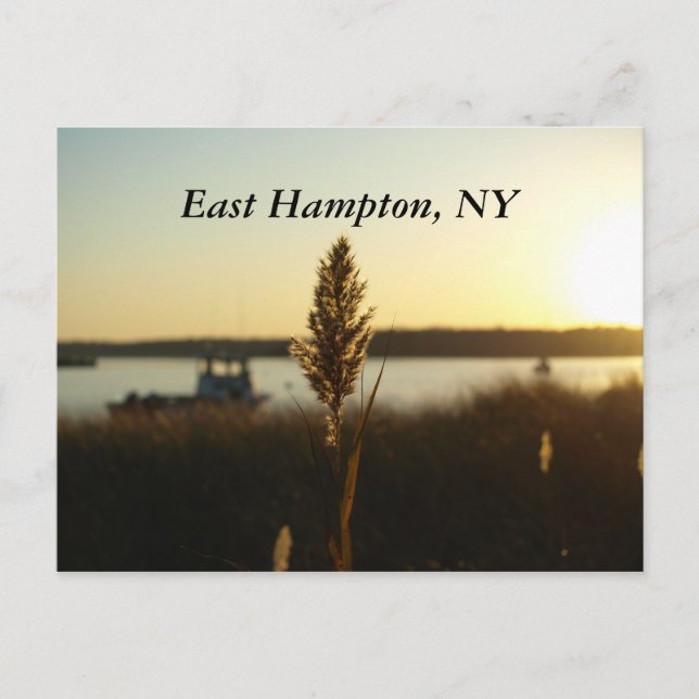 Carte Postale PB089043, East Hampton, NY (Devant)