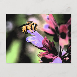 Carte Postale Pcna abeille et fleur