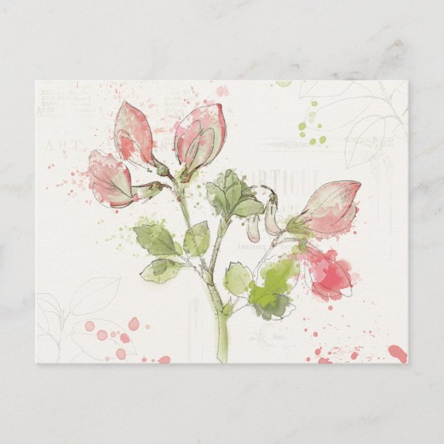 Carte Postale Pea watercolor (Devant)