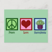 Peace Love Succulents