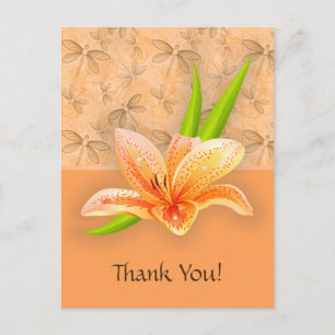 Carte Postale Peach Color Lilium and Nature Art in Peach Motif