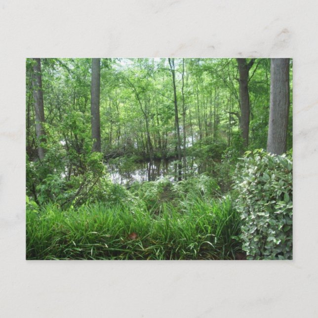 CARTE POSTALE "PEACHTREE CITY, GA" (Devant)
