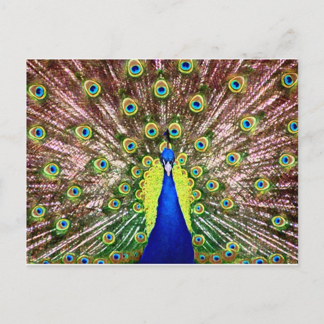 CARTE POSTALE PEACOCK (Devant)
