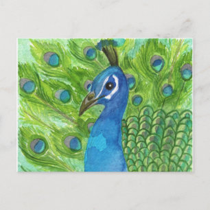 Carte postale Peacock