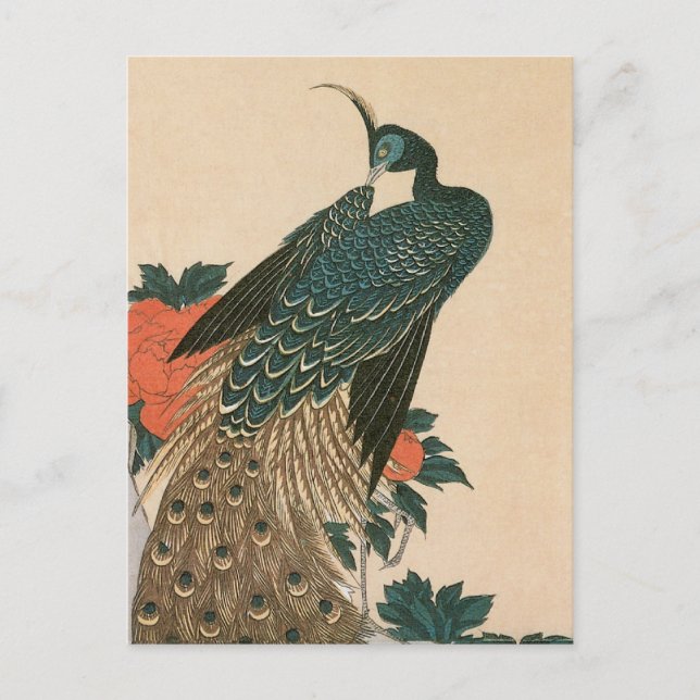 Carte Postale Peacock and Peonies de Hiroshige, Art japonais (Devant)