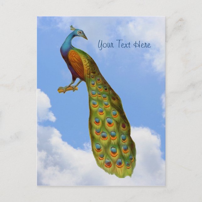 Carte postale Peacock Art Bird (Devant)