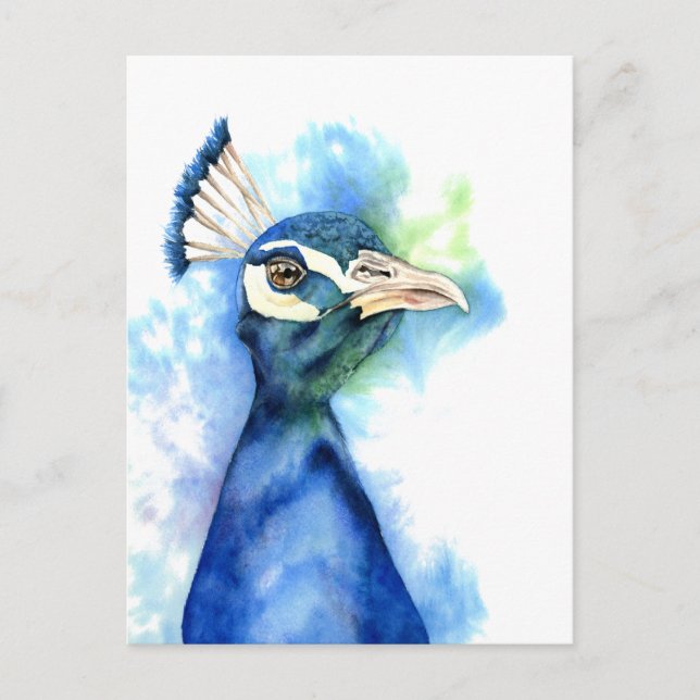 Carte Postale Peacock Bird Aquarelle Art (Devant)