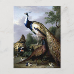 Carte Postale Peacock Bird Peinture de famille