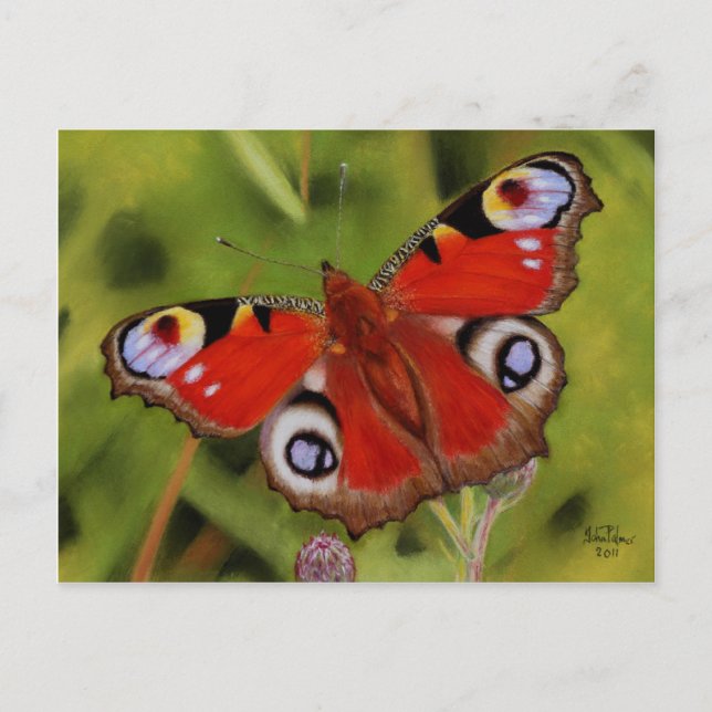 CARTE POSTALE PEACOCK BUTTERFLY (Devant)