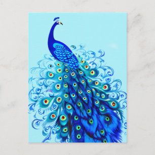 Carte Postale Peacock en Turquoise, Bleu de Cobalt et Aqua