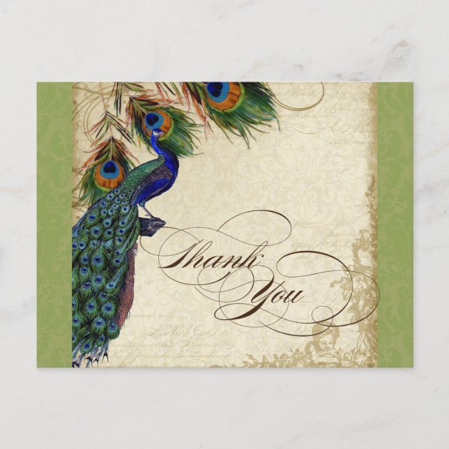 Carte Postale Peacock & Feather Forme Merci Note Lime Green (Devant)