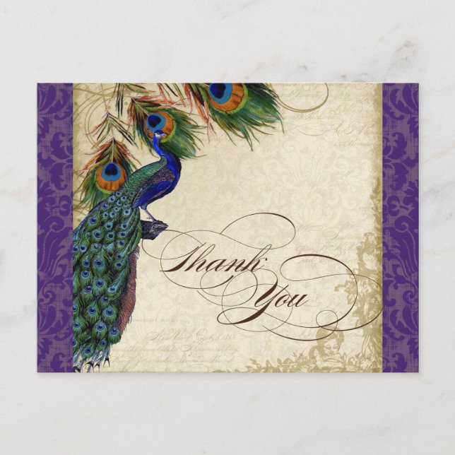 Carte Postale Peacock & Feathers Formal Merci Note Violet (Devant)