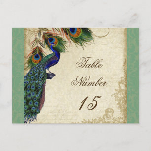 Carte Postale Peacock & Feathers Numéros de tableau des Mariages