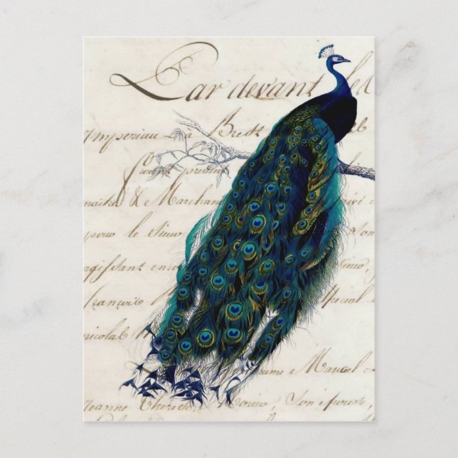 Carte postale Peacock vintage (Devant)