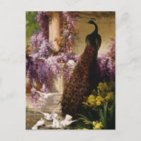 Peacock vintage
