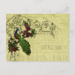Carte Postale Peacock vintage sur les vêtements et les cadeaux d
