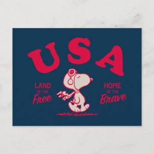 Carte Postale Peanuts Snoopy États-Unis Terre de liberté