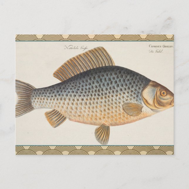 Carte Postale Pêche à la carpe peinture à l'eau douce (Devant)