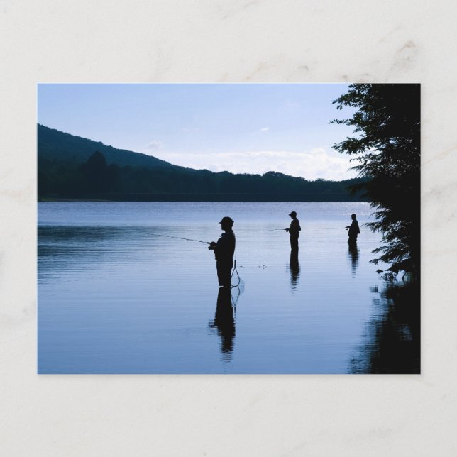 Carte Postale Pêche à l'aube (Devant)