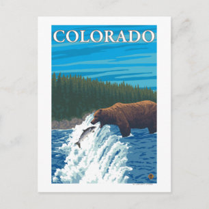 Carte Postale Pêche à l'oursColorado