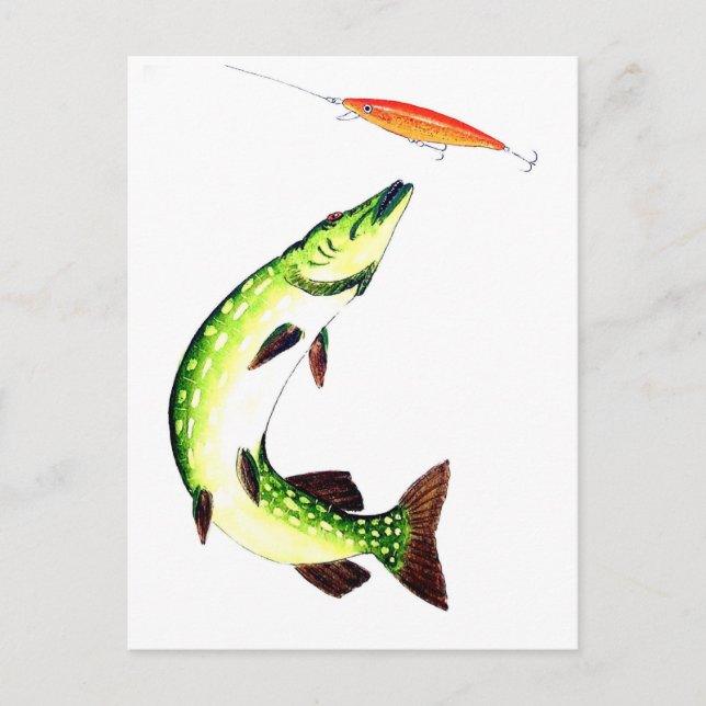 Carte Postale Pêche au brochet et pêche à la mouche (Devant)