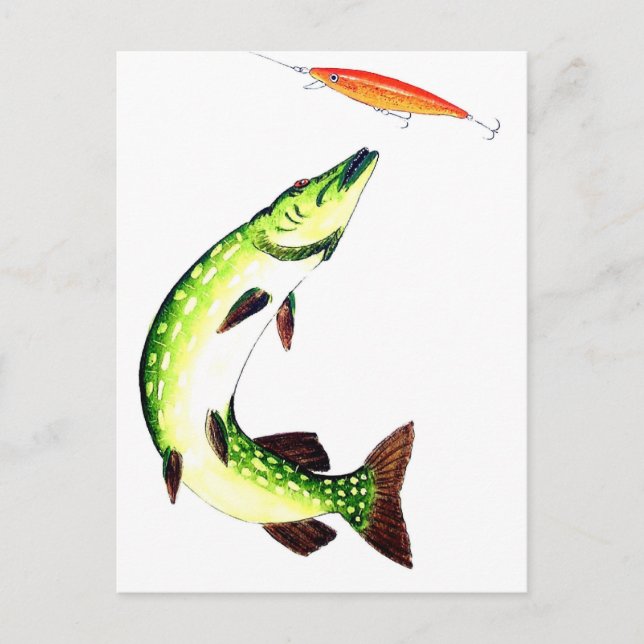 Carte Postale Pêche au brochet et pêche à la mouche (Devant)