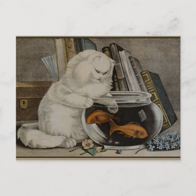 Carte Postale Pêche au chat perse (Devant)