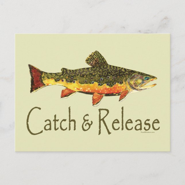 Carte Postale Pêche aux poissons (Devant)