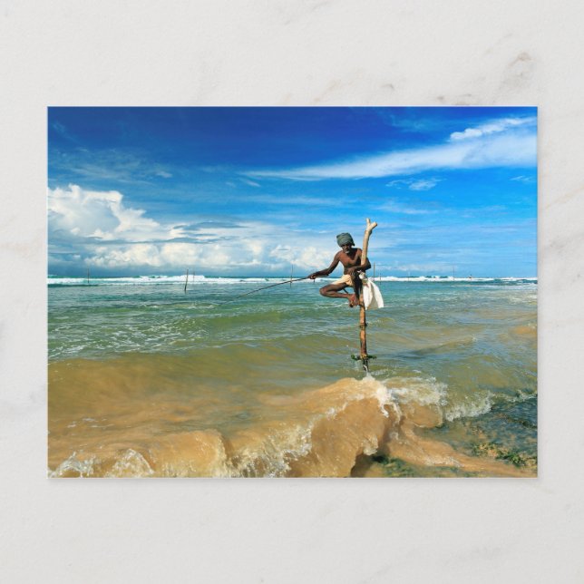 Carte Postale Pêcheur à bâtons du Sri Lanka (Devant)