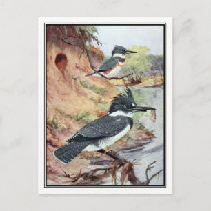 Carte Postale Pêcheur à la ceinture vintage par Robert Bruce Hor