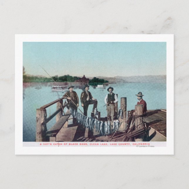 Carte Postale Pêcheurs montrant les prises du jour (Devant)